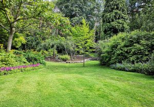 Optimiser l'expérience du jardin à Biefvillers-les-Bapaume